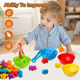 Children's Color Classification Toys