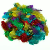 Creation Station® Spotted Feathers (28gm)