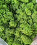 Sea Moss