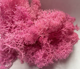 Sea Moss