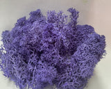 Sea Moss