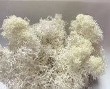 Sea Moss
