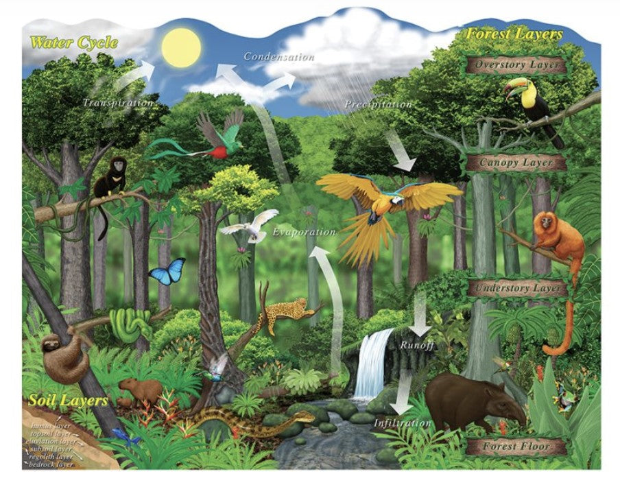 Mind Sparks® ECO-Puzzle – PaperWorm - Main Image