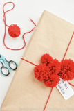 Creativity Street 1" Solid Color Pom Poms (Red)
