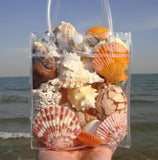 Seashells