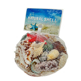Natural Seashells