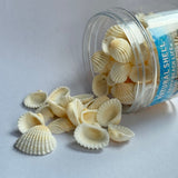 Natural Seashells