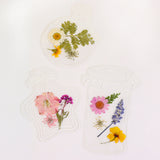 Flower Specimen Protection Cover