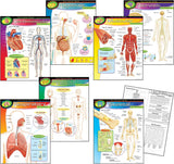 Learning Charts