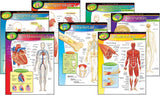 Learning Charts