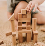 Educational Toy Wooden Play Blocks