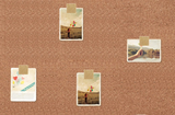 Slot Wood Push Pins