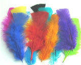 Colored Feathers 7gm