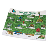 Pacon® Foam Presentation Board