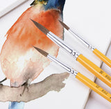 Pebeo Artist Natural Paint Brushes Set (Pointed)