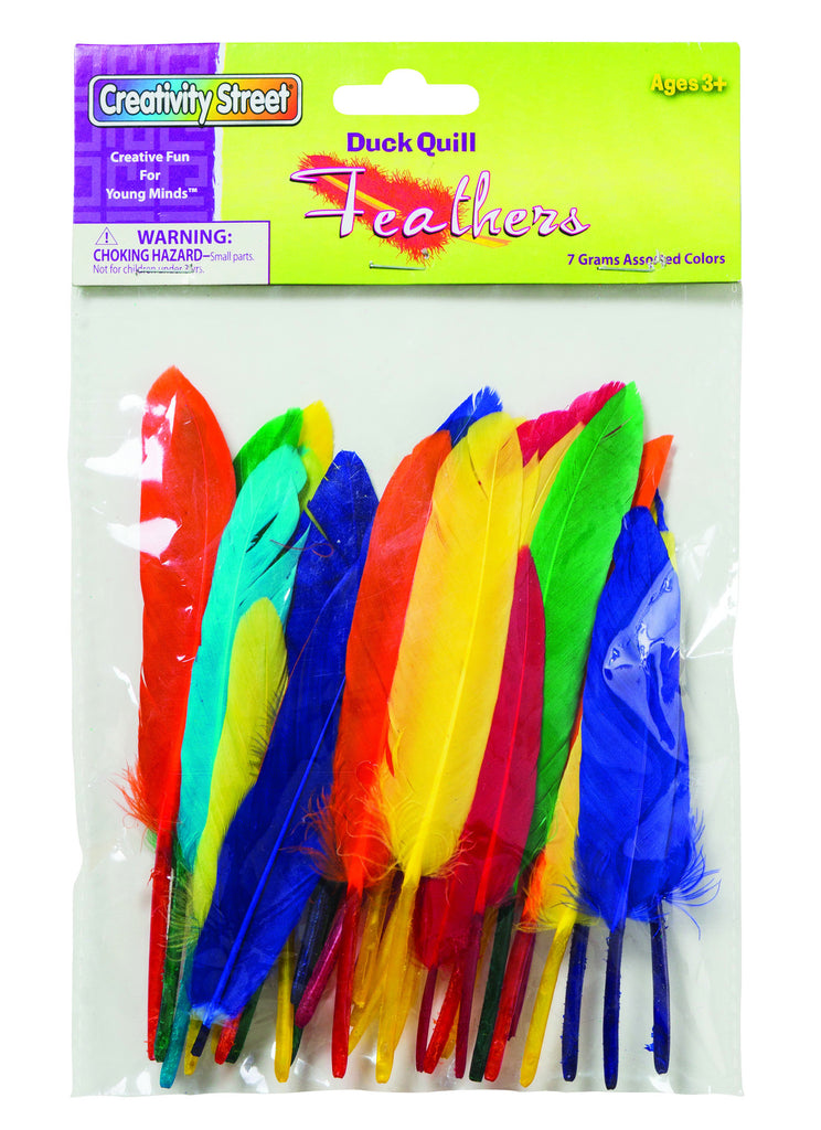 Creativity Street® Quill Feathers – PaperWorm